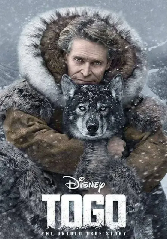 多哥（2019）