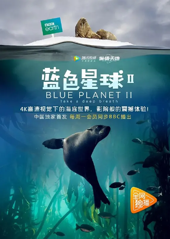 蓝色星球第二季