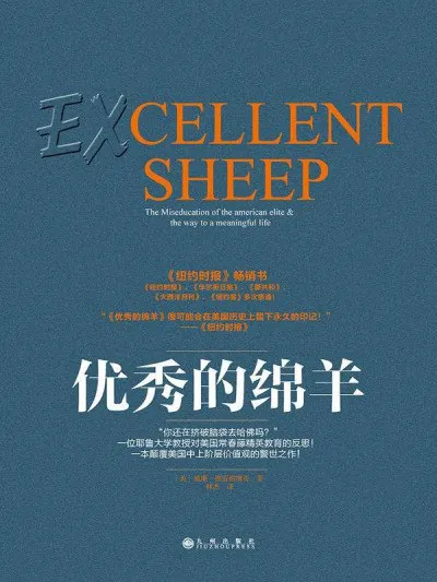 优秀的绵羊（ExcellentSheep）