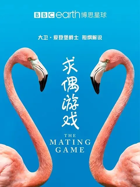 求偶游戏（2021）