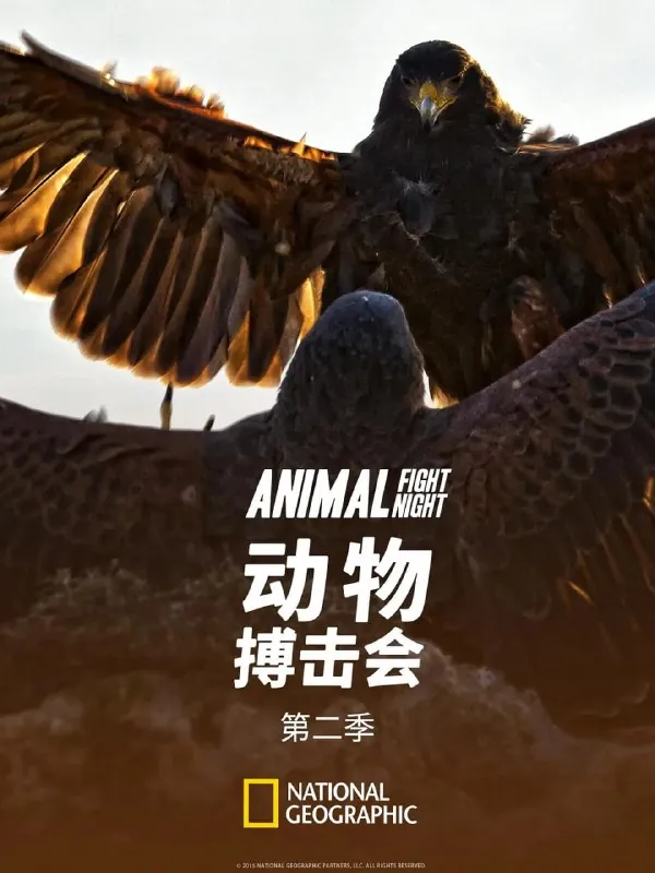 动物搏击会第二季（2014）