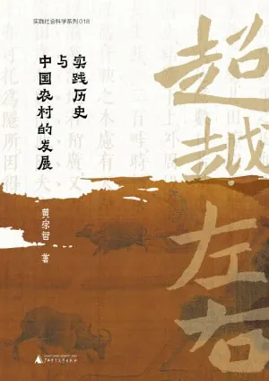 超越左右:实践历史与中国农村的发展（epub）