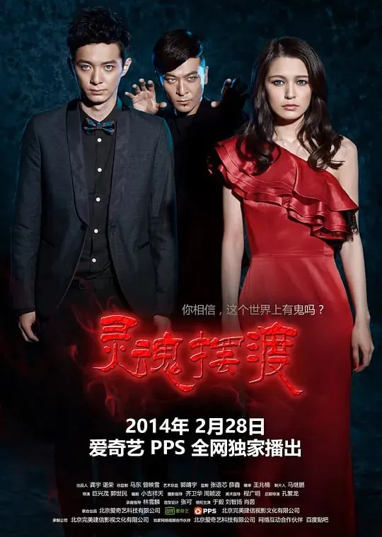 灵魂摆渡（2014）