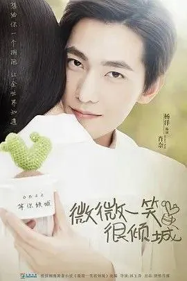 微微一笑很倾城（2016）
