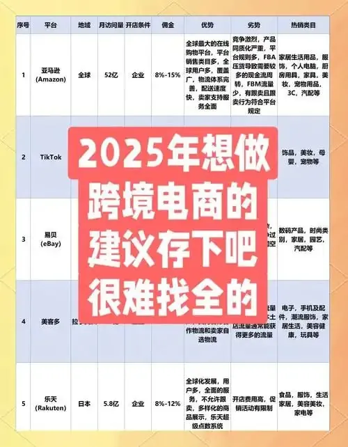 2025电商类付费教程（年份）