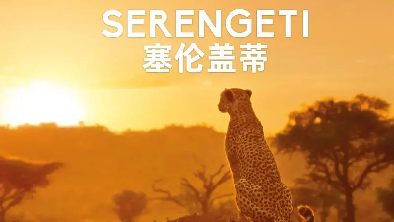 塞伦盖蒂第一季（2019）