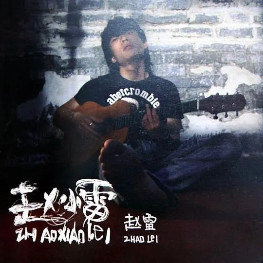 赵雷-赵小雷（2011）