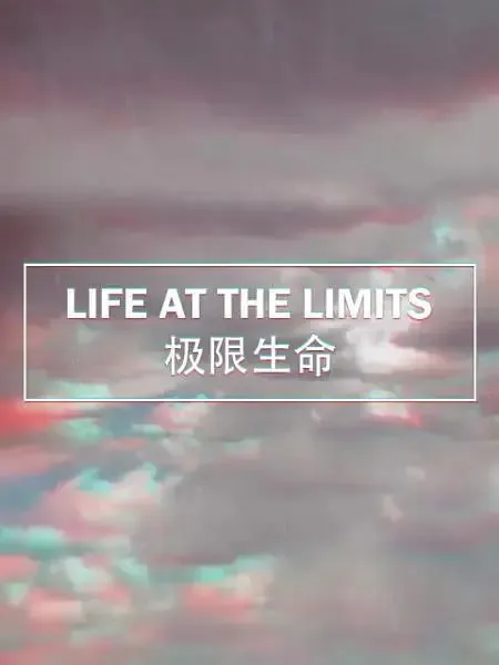 极限生命（2017）