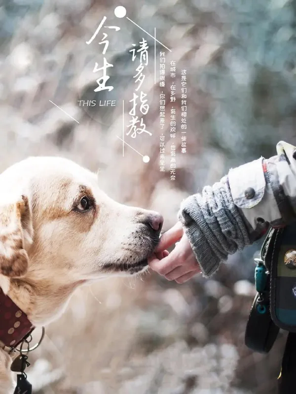 今生，请多指教（2018）