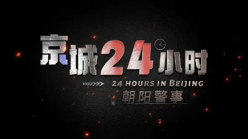 京城24小时之朝阳警事（2024）