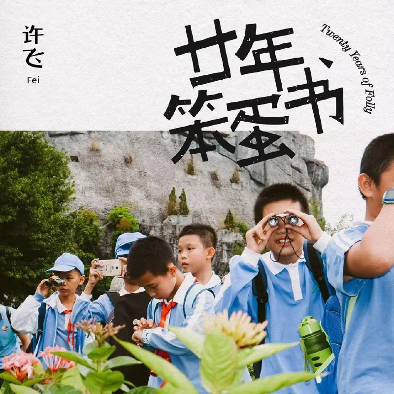 许飞-廿年笨蛋书