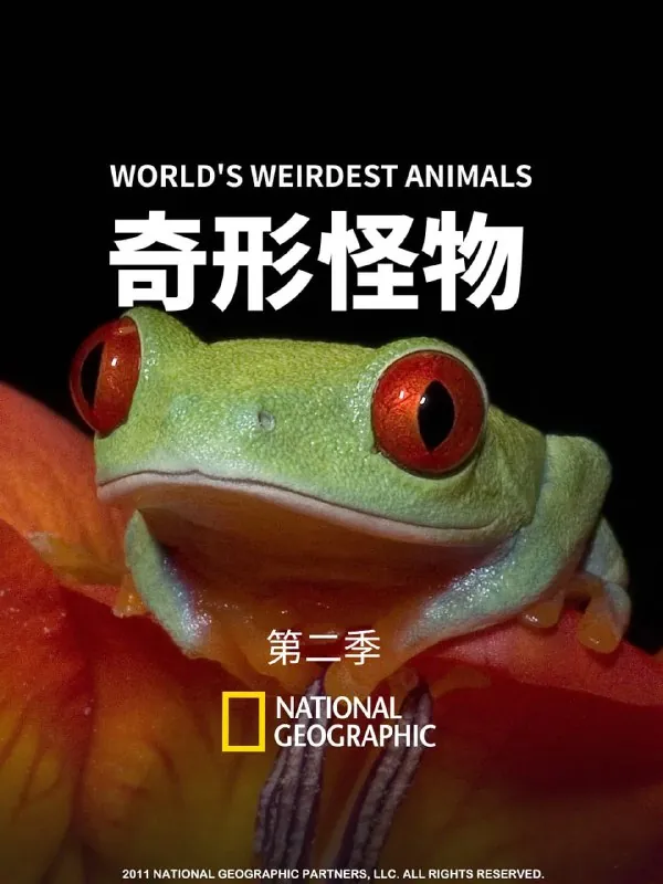 奇形怪物第二季