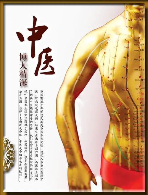 中医经络图（全34册）
